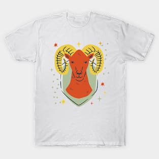 Capricorn Zodiac Sign T-Shirt